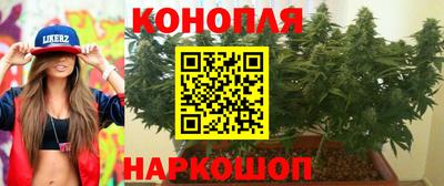 шишки Краснознаменск