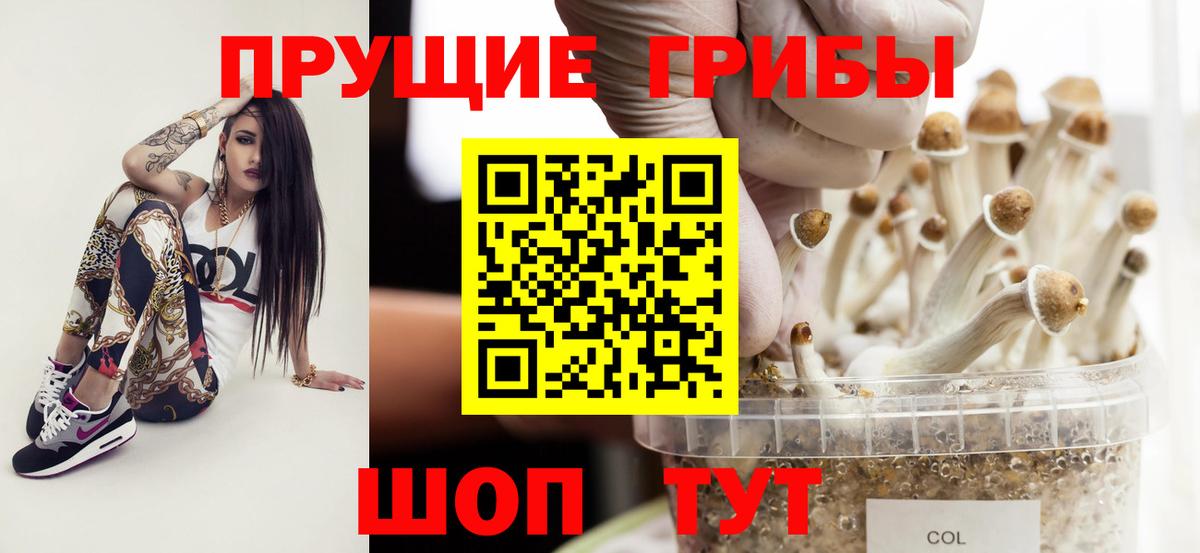 Галлюциногенные грибы Psilocybine cubensis  Вход с VPN  Жуковский  Галлюциногенные грибы Psilocybe 
